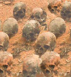 Skulls Skulls